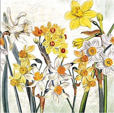 20 kleine cocktailservetten met bloemen als schilderij | Vintage | Herfst | Tafeldecoratie | Decoupage | Serviettentechniek 25x25cm