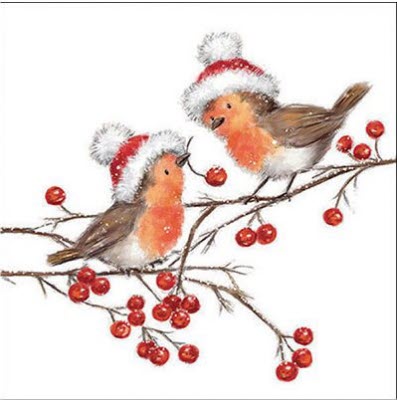 Servetten Robin Family met roodborstjes – Ambiente